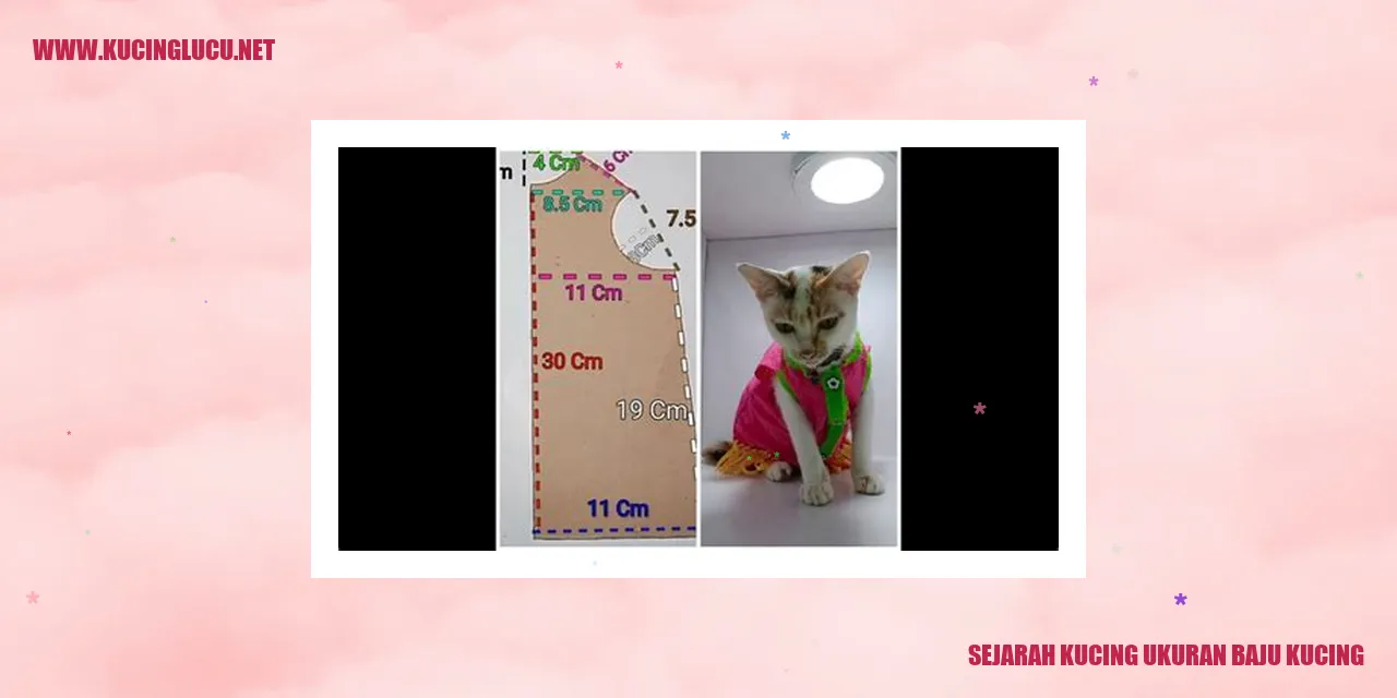 Sejarah Kucing ukuran baju kucing