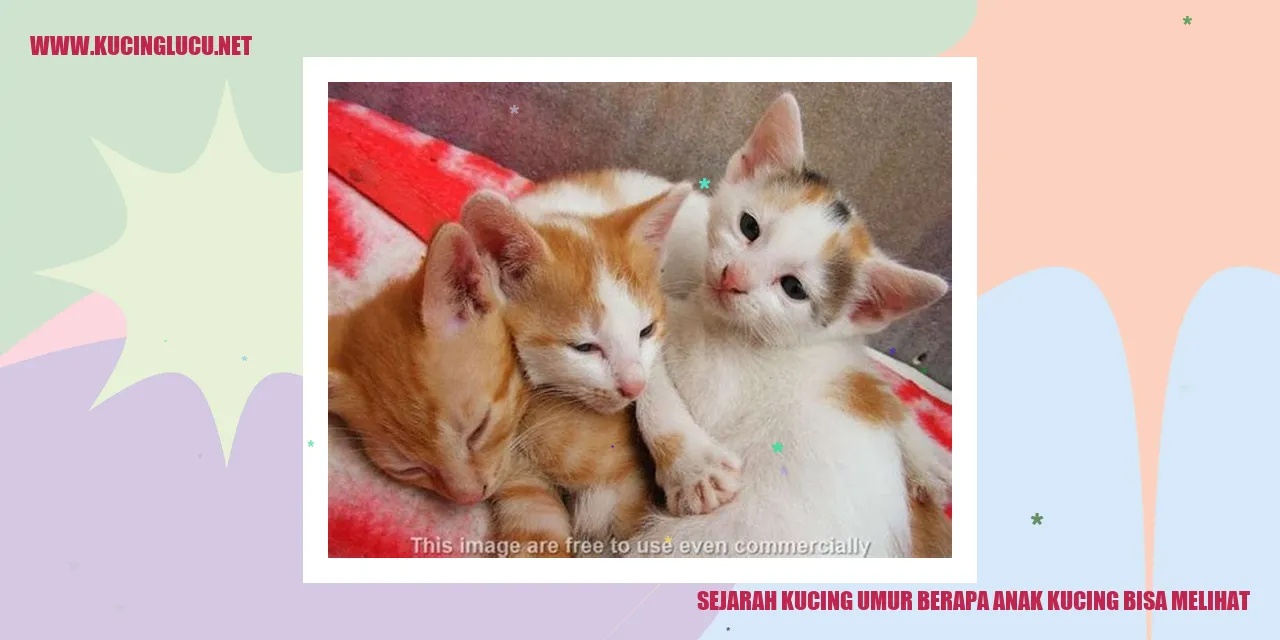 Sejarah Kucing