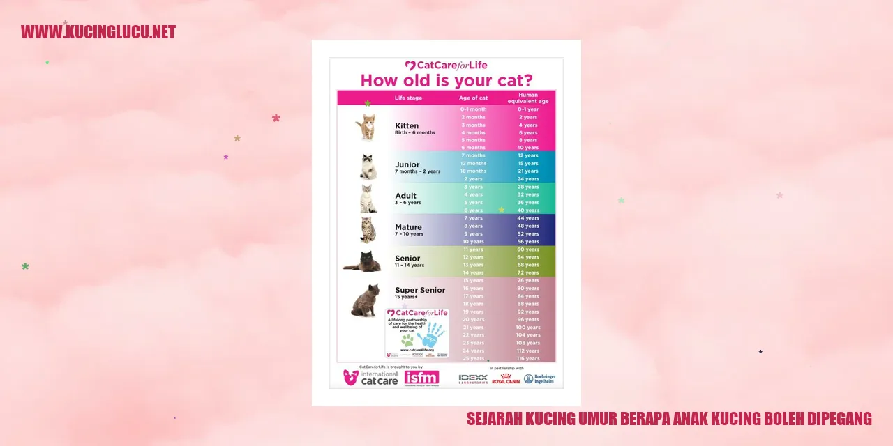 Kucing dan anaknya