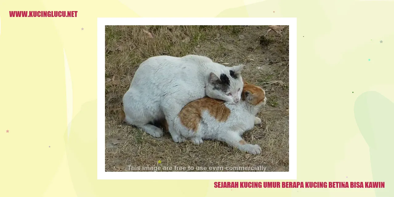 Gambar Sejarah Kucing