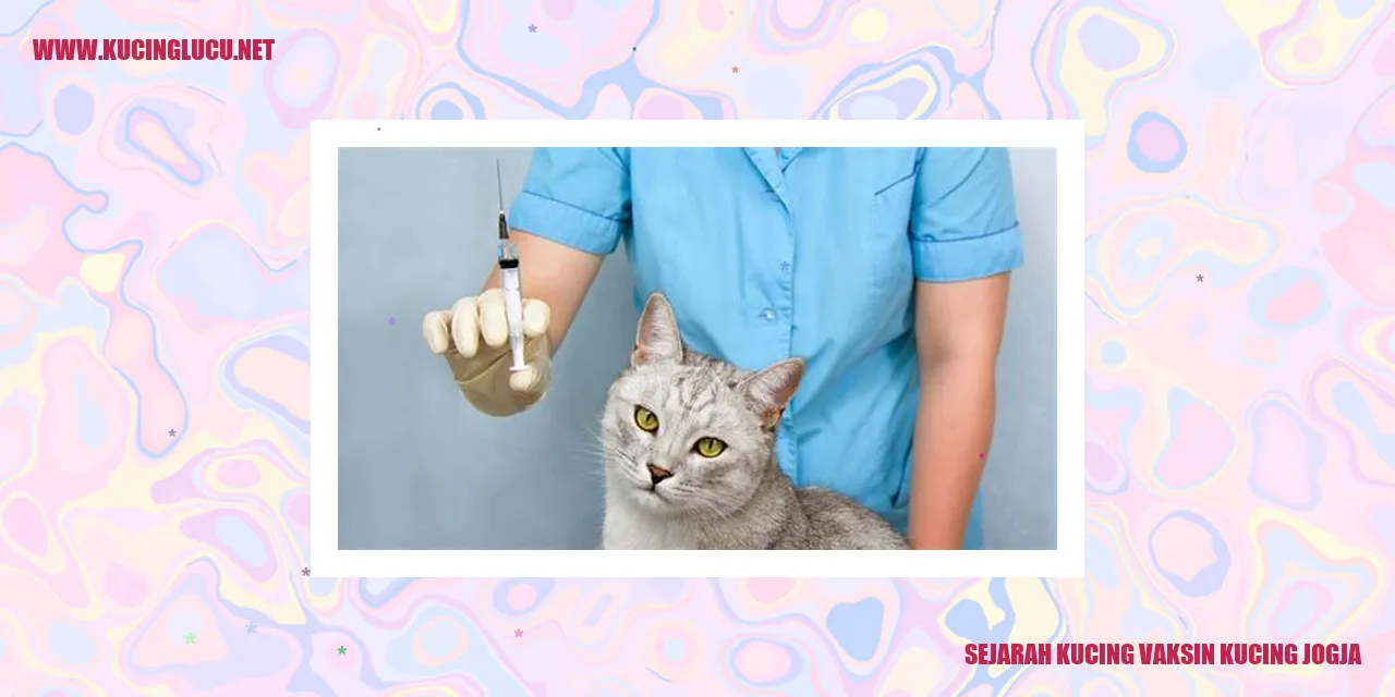Gambar Kucing Vaksin