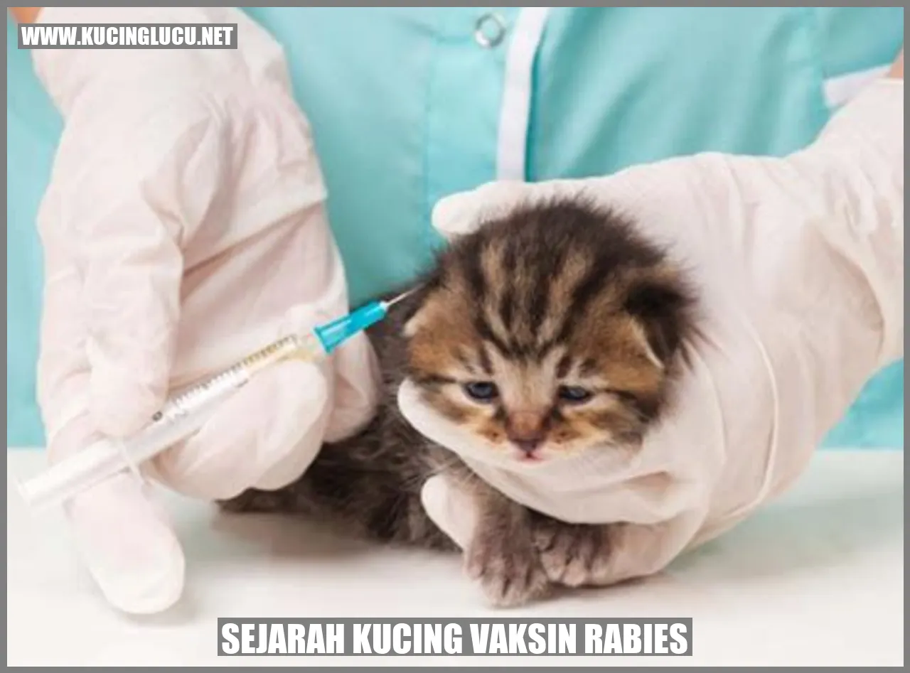 Sejarah Kucing vaksin rabies
