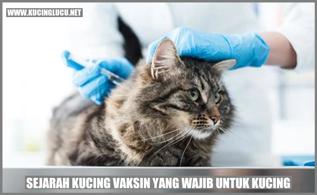 Sejarah Kucing Vaksin