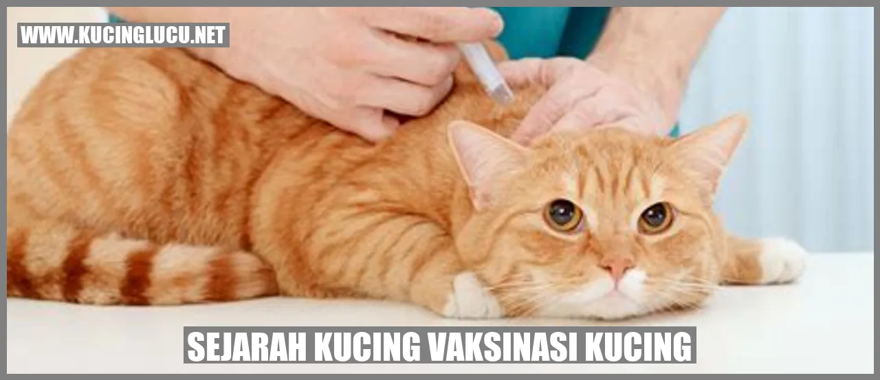 Gambar Kucing Vaksinasi