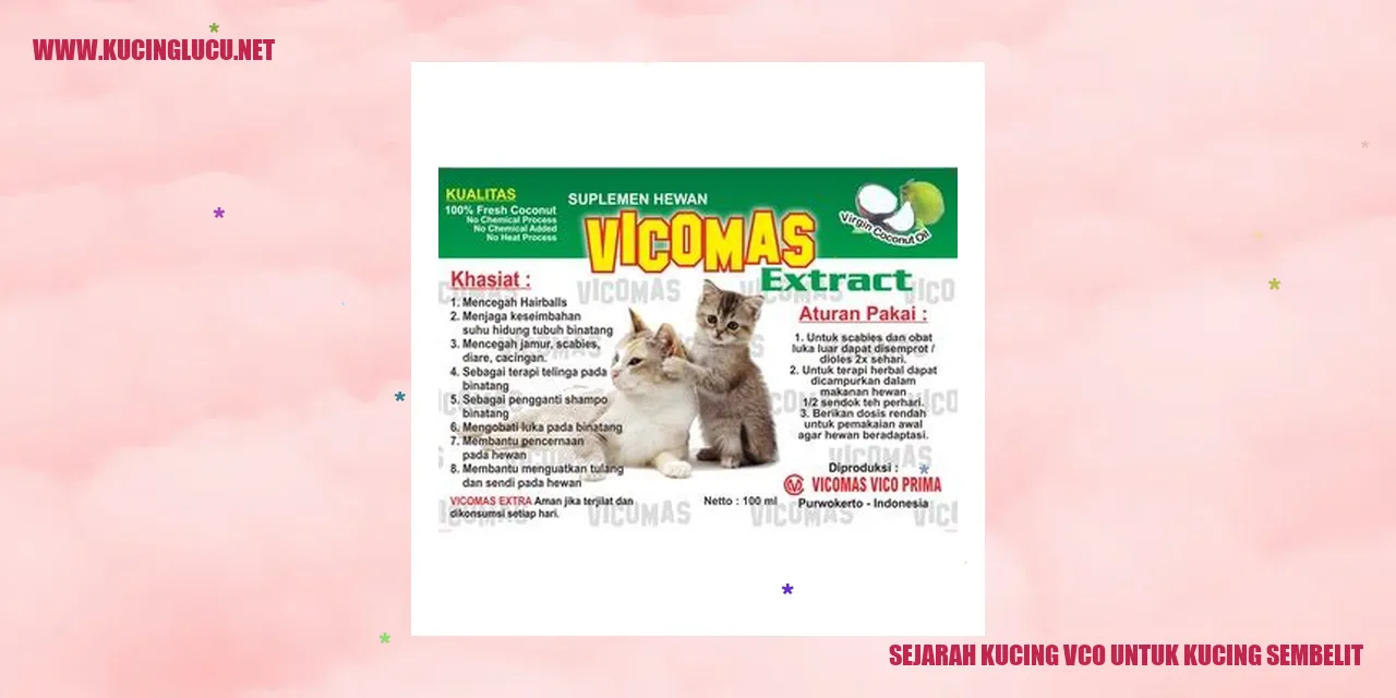 Gambar kucing sedang minum minyak kelapa VCO