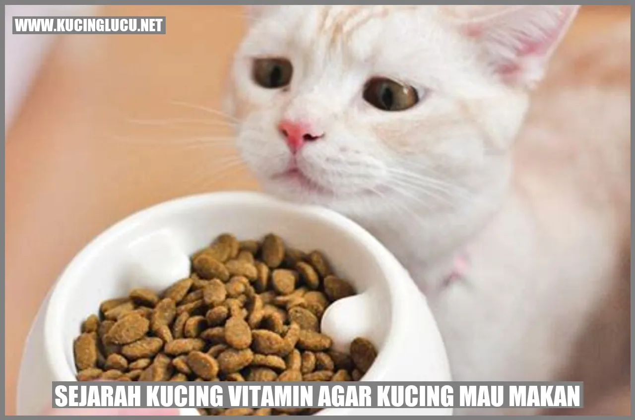 Kucing dengan vitamin