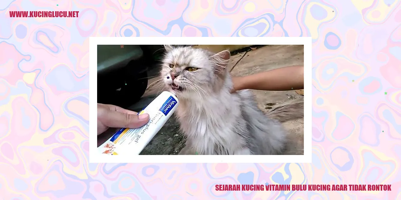 Kucing dengan bulu yang sehat