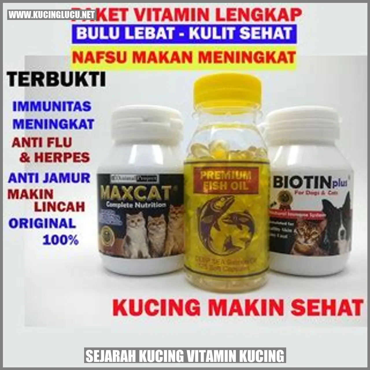 Sejarah Suplemen Kucing Vitamin