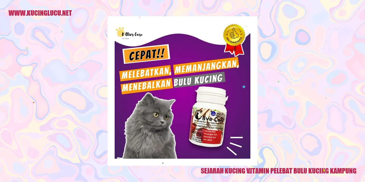 Gambar Kucing Kampung