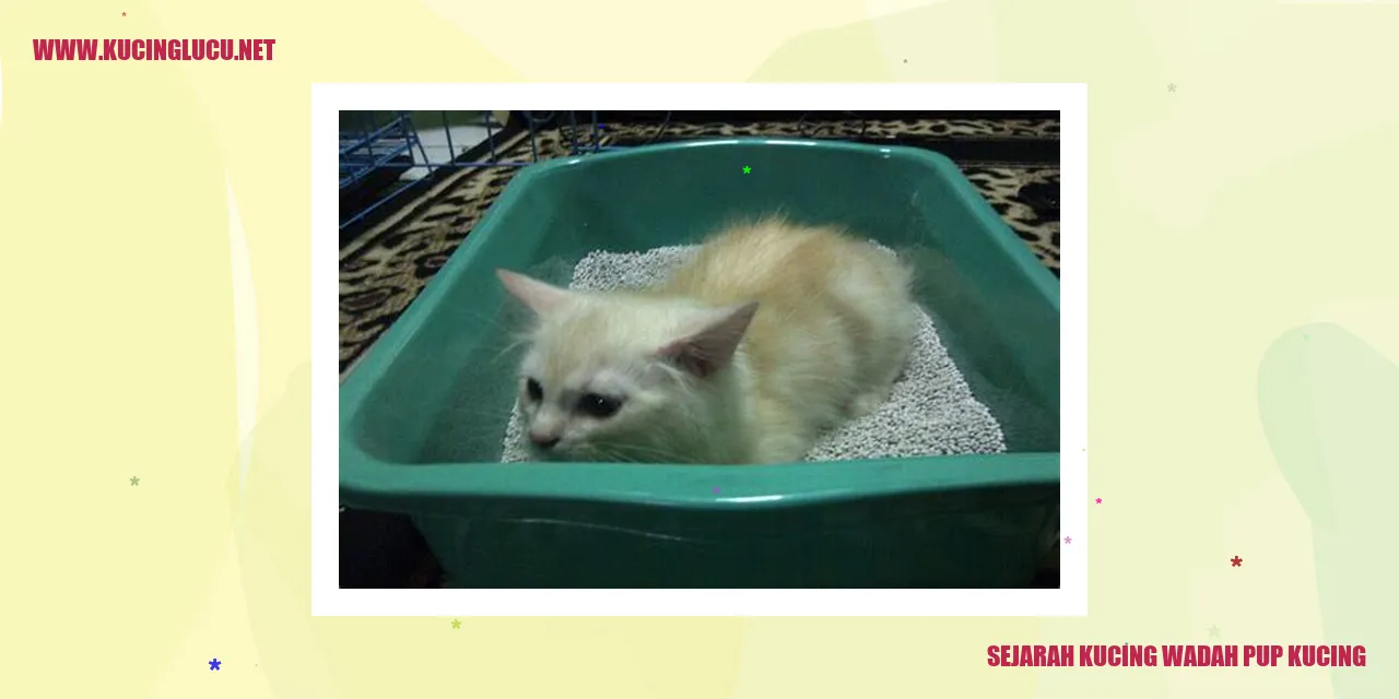 gambar kucing