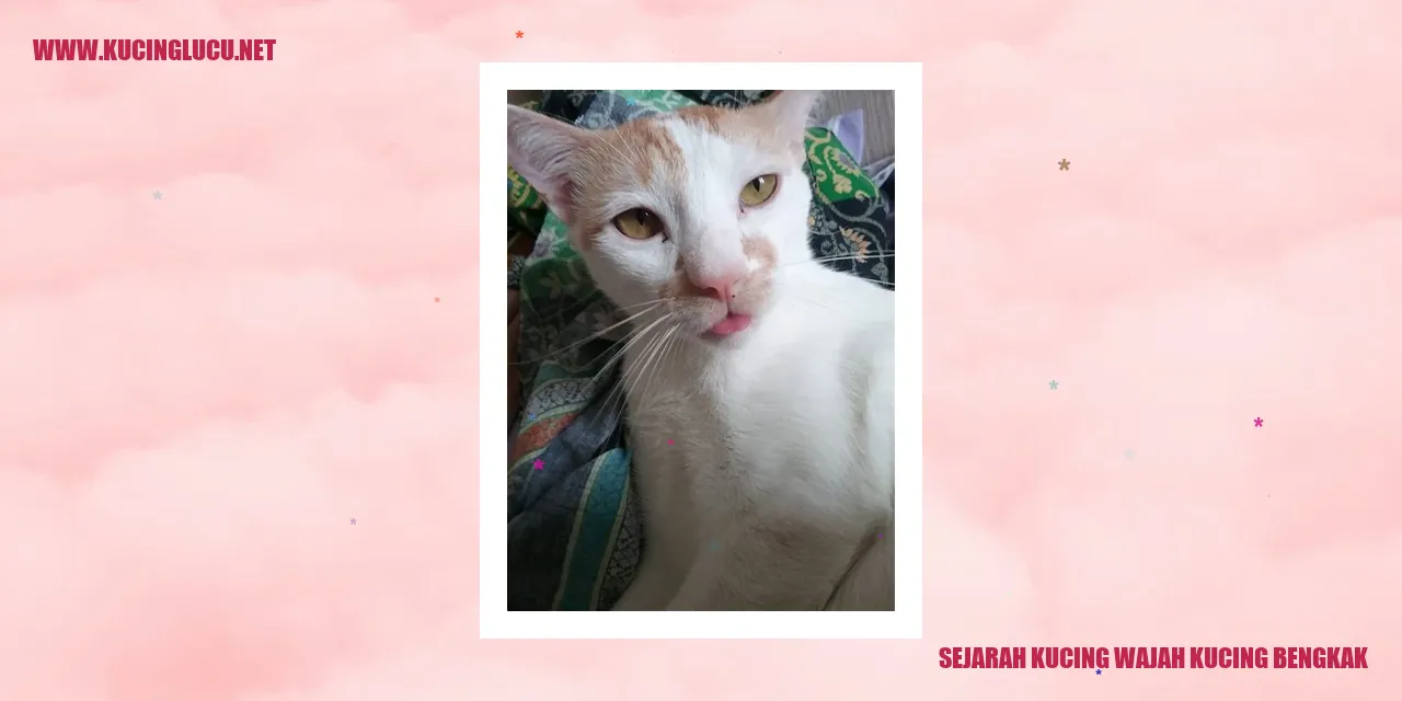 Gambar Kucing Bengkak