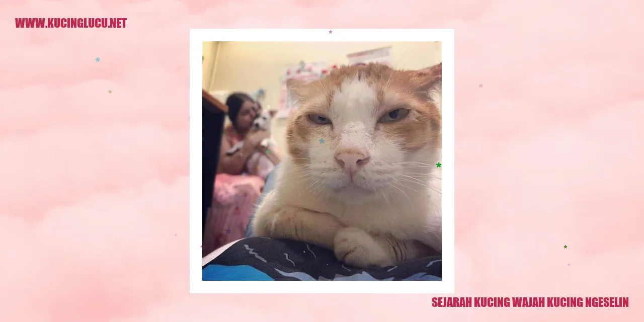 Sejarah Kucing Wajah Kucing Ngeselin