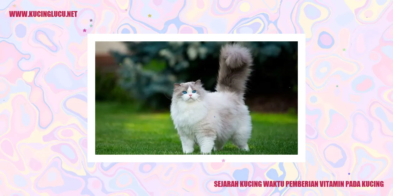 Sejarah Kucing dan Pemberian Vitamin pada Kucing