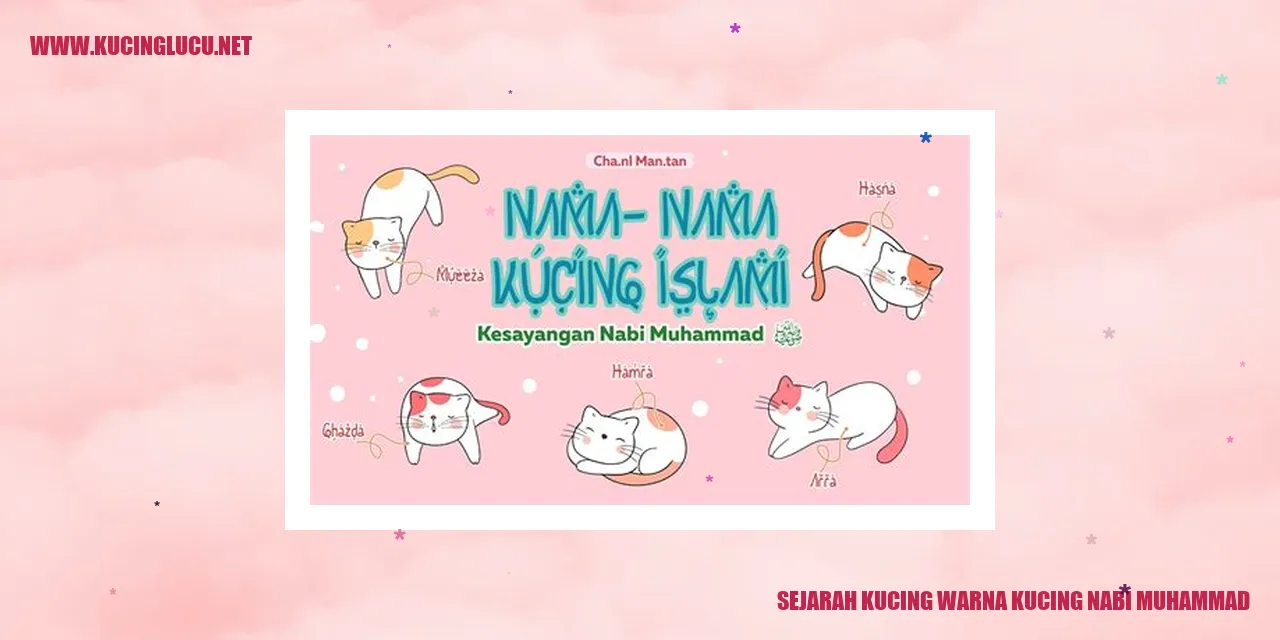 Kucing dalam sejarah Islam