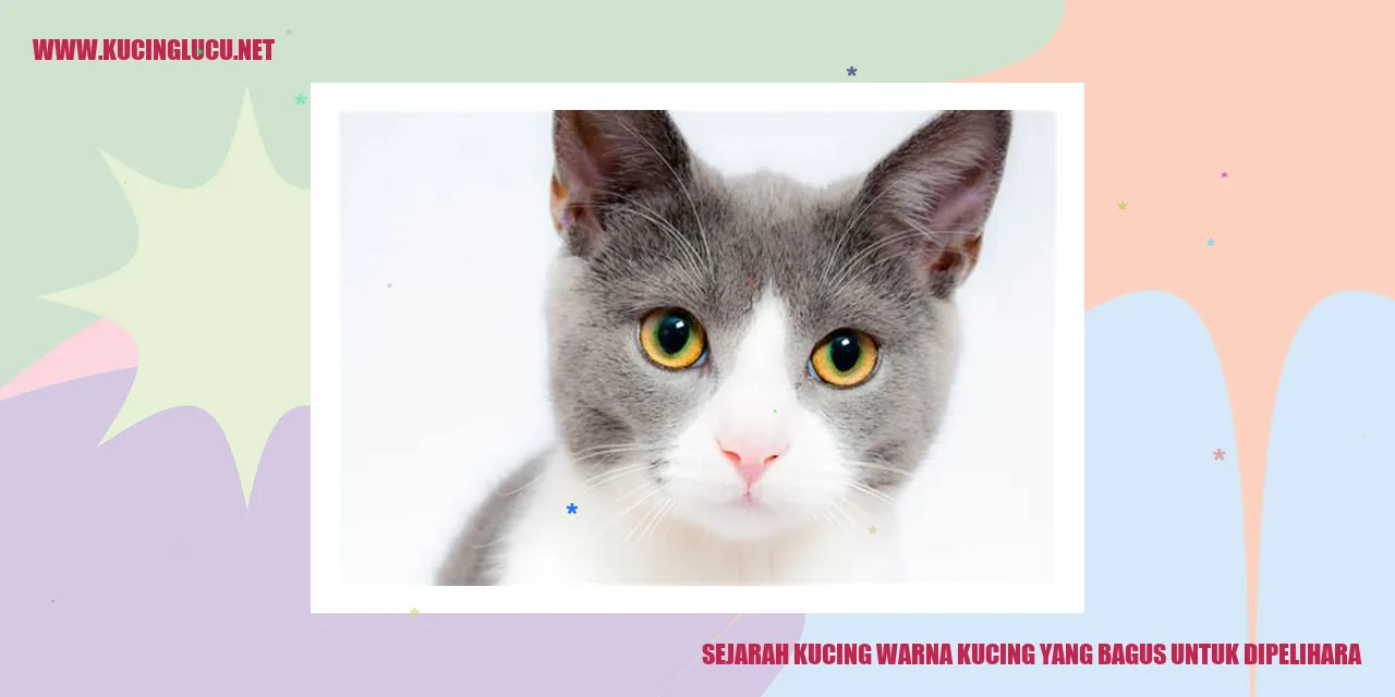 Gambar Kucing yang Menarik