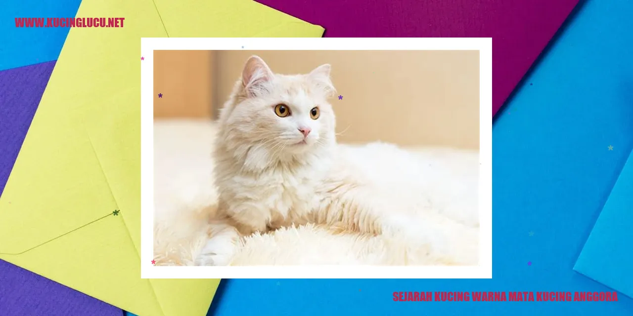 Gambar Kucing Anggora yang Memukau