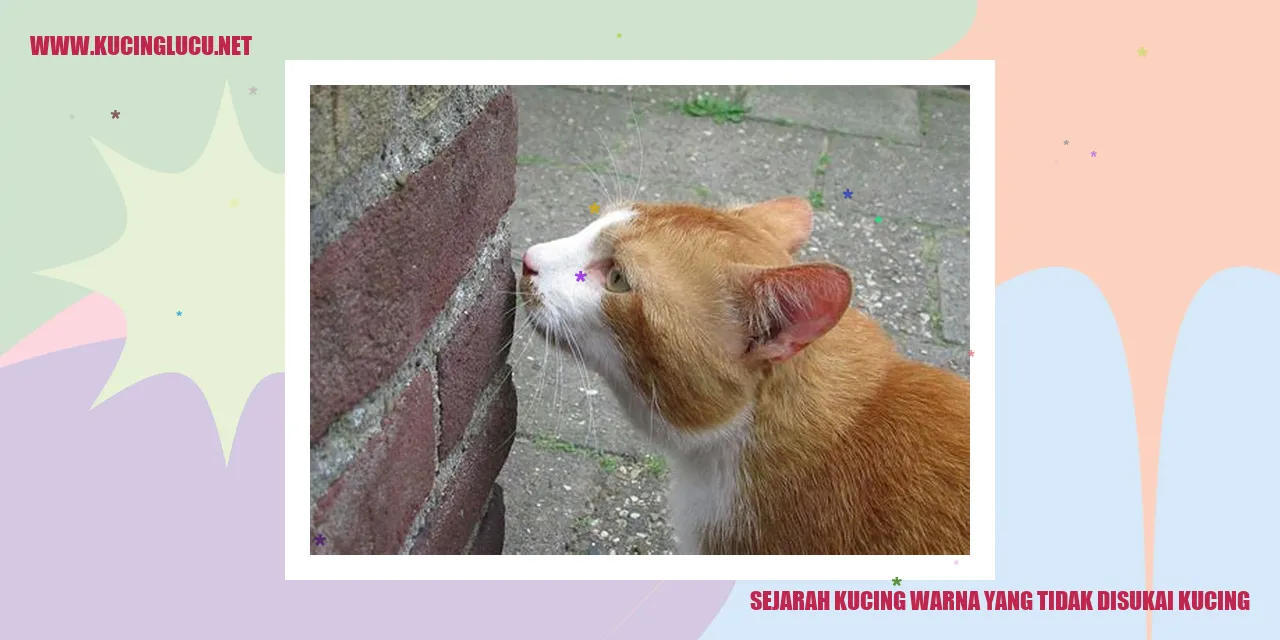 Potret Kucing Berbulu Berwarna