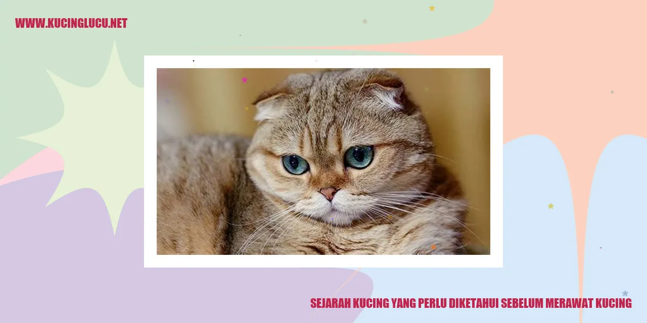 Ilustrasi Sejarah Kucing