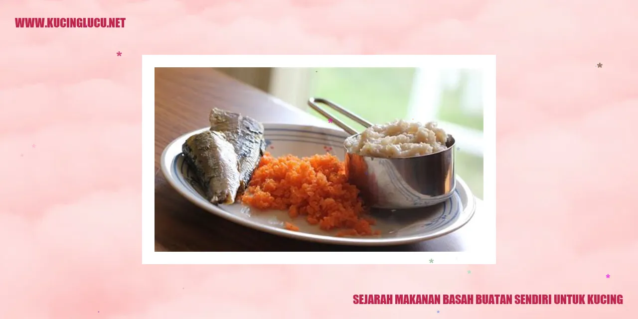 Kucing makanan basah kucing buatan sendiri