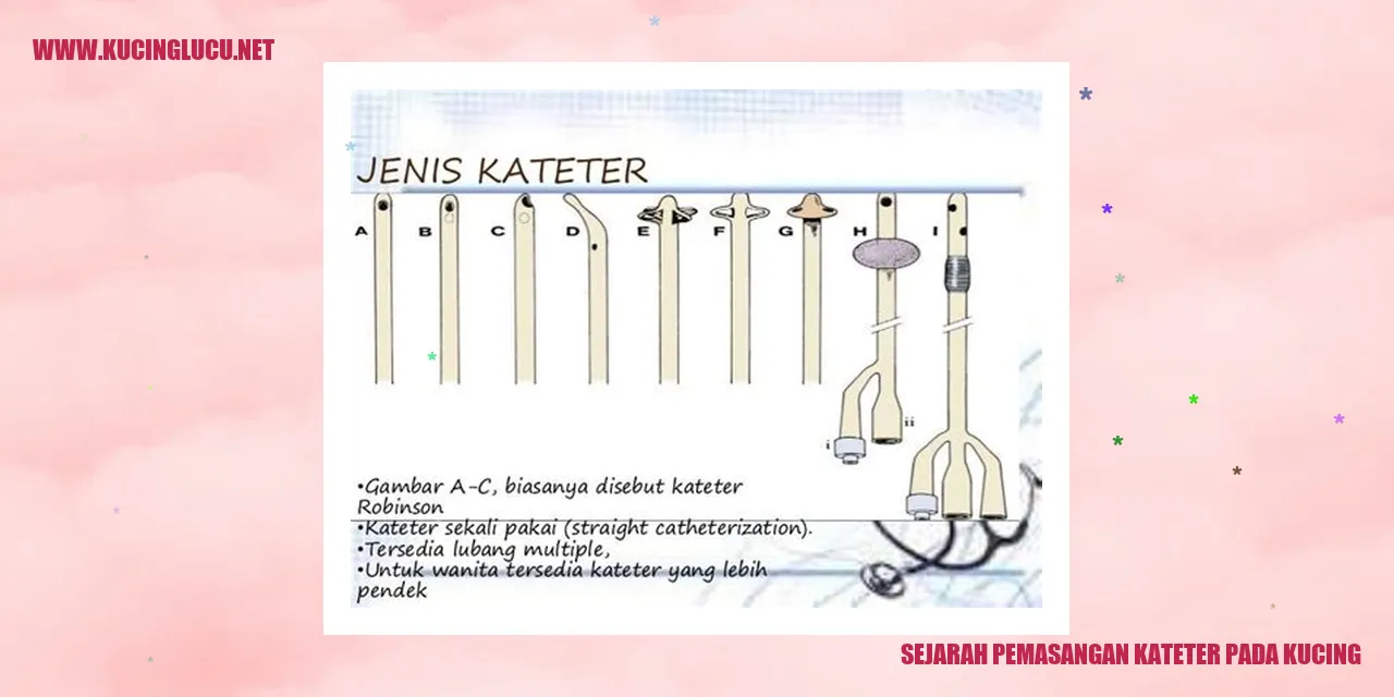 Sejarah Pemasangan Kateter pada Kucing