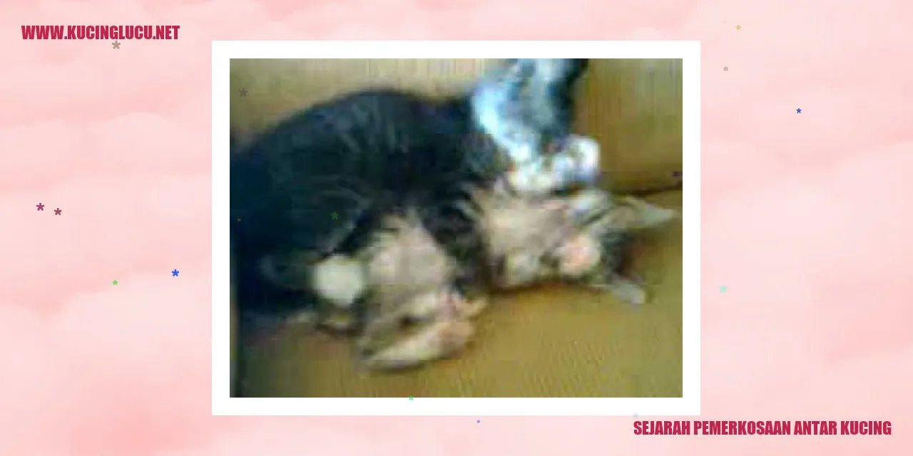 Sejarah Kelam Pemerkosaan Antar Kucing