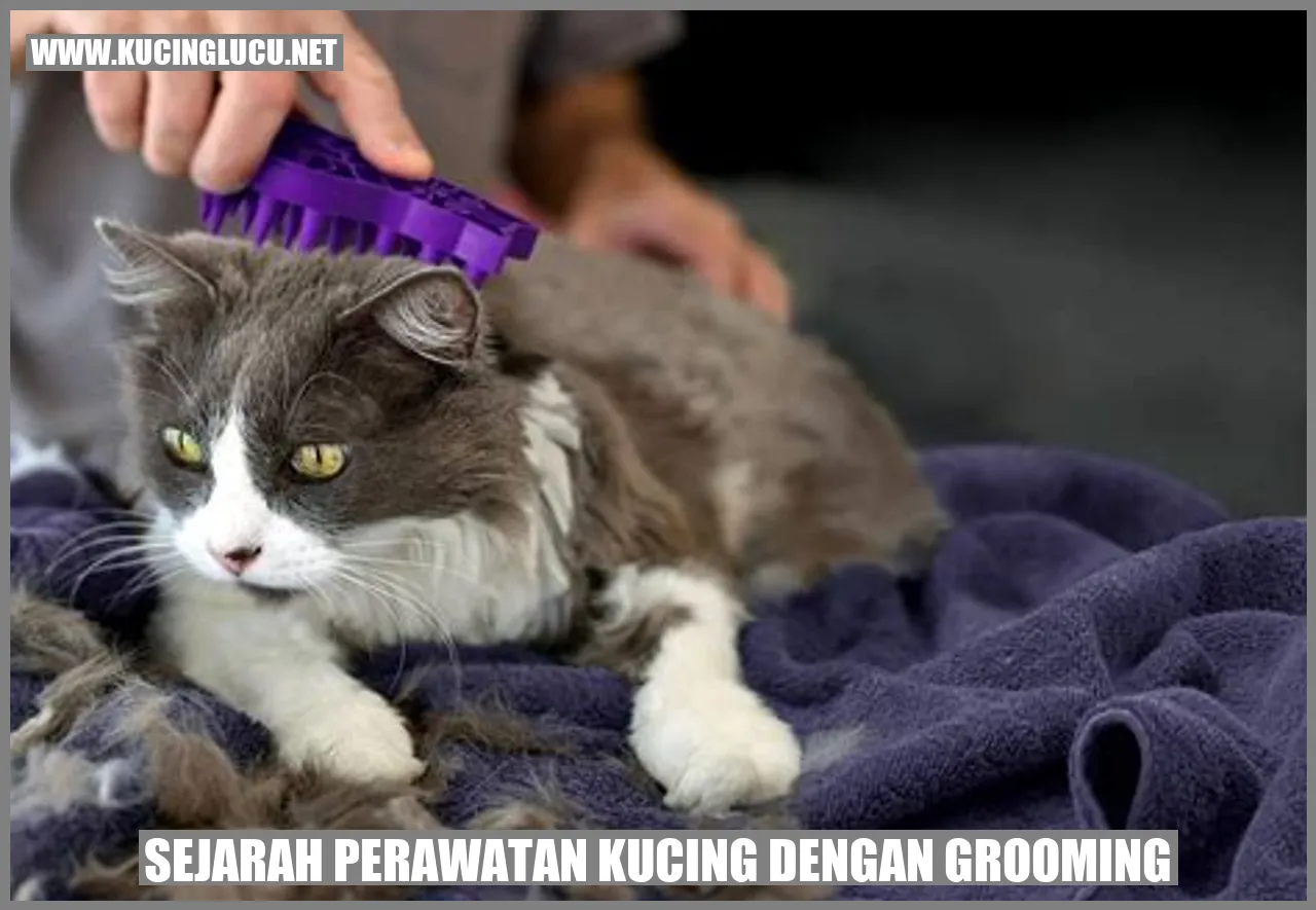 Sejarah Perawatan Kucing dengan Grooming
