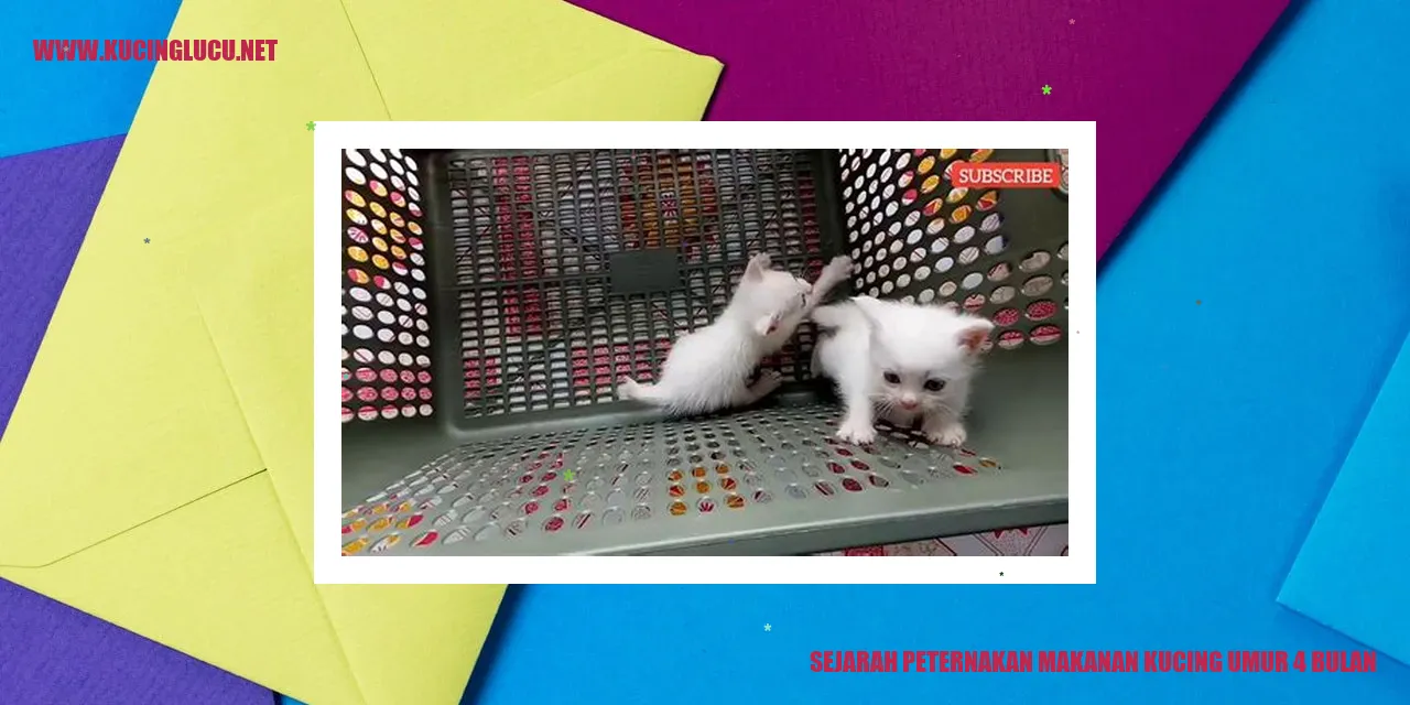 Ilustrasi Makanan Kucing