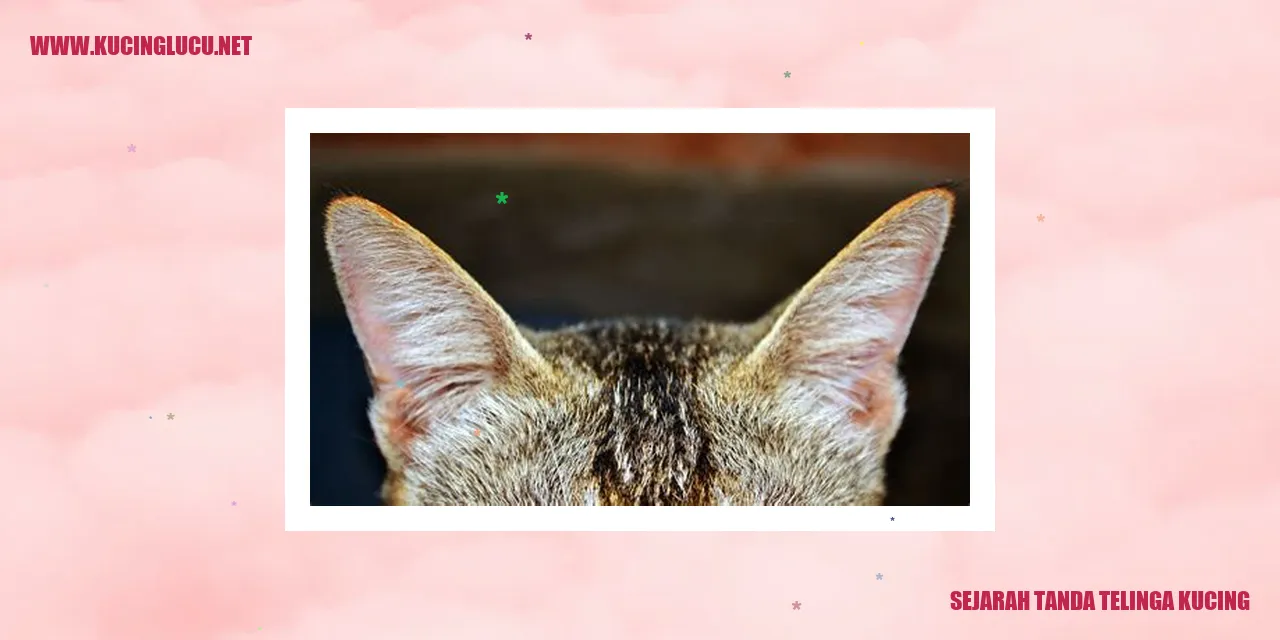 Tanda Telinga Kucing