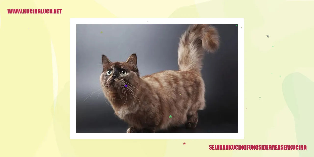 Sejarah Kucing fungsi degreaser kucing