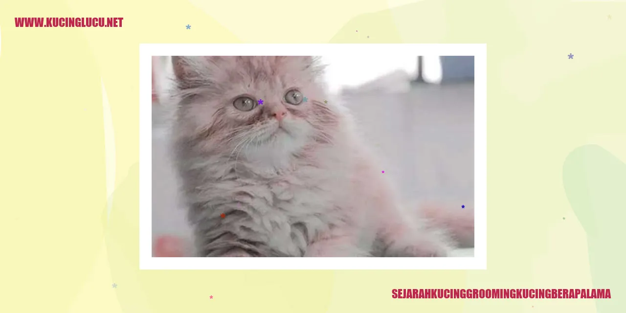 Grooming Kucing