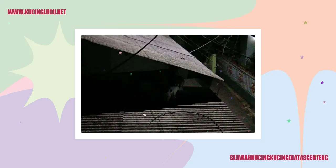 Kucing di atas genteng