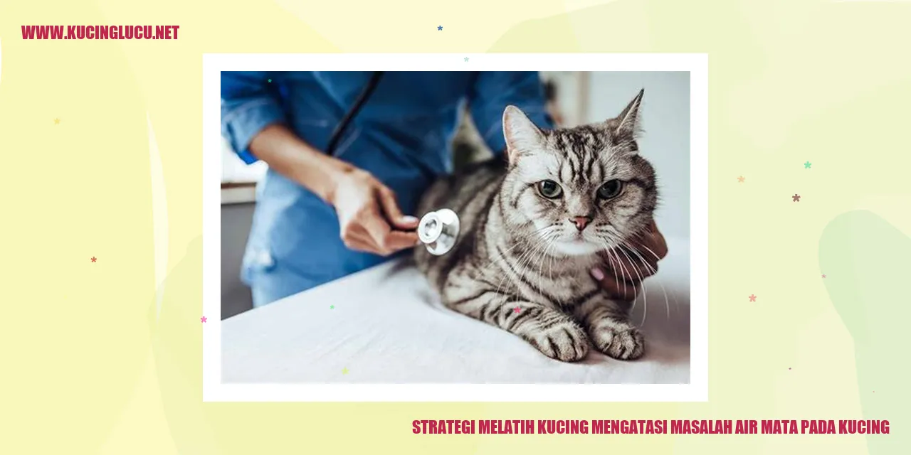 Teknik Melatih Kucing kenapa kucing keluar air mata