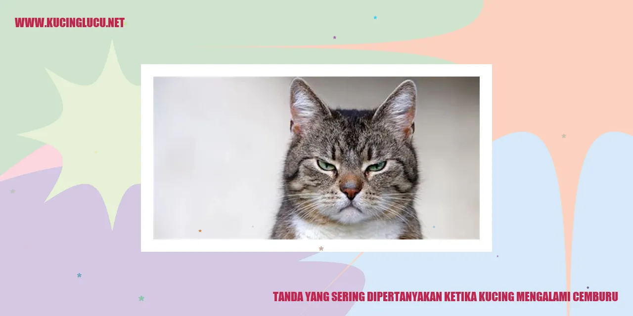 Pertanyaan yang Sering Diajukan tentang Tanda Kucing Cemburu