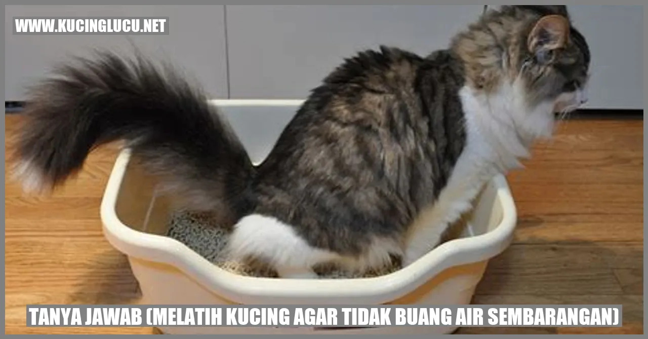 Menjinakkan Kucing agar Tidak Buang Air Sembarangan