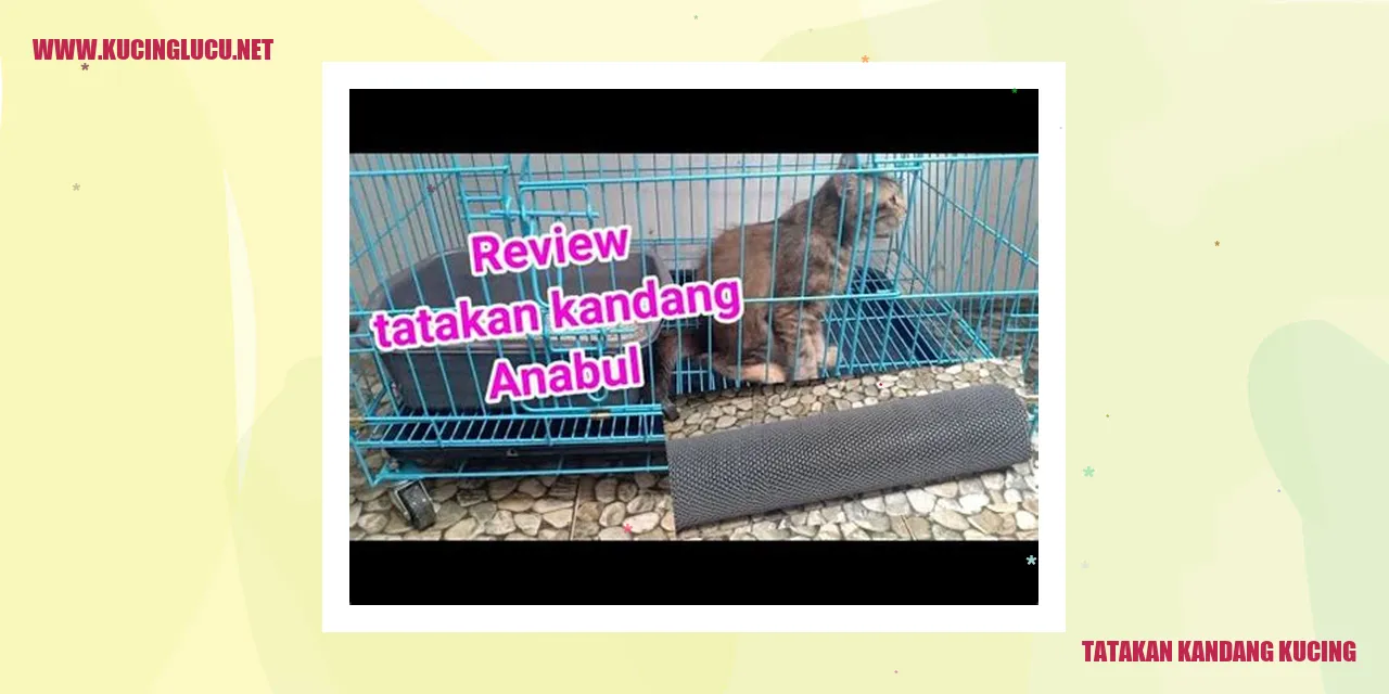 Kucing tatakan kandang kucing