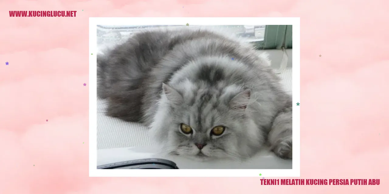 Kucing Persia Berwarna Abu-Abu Putih