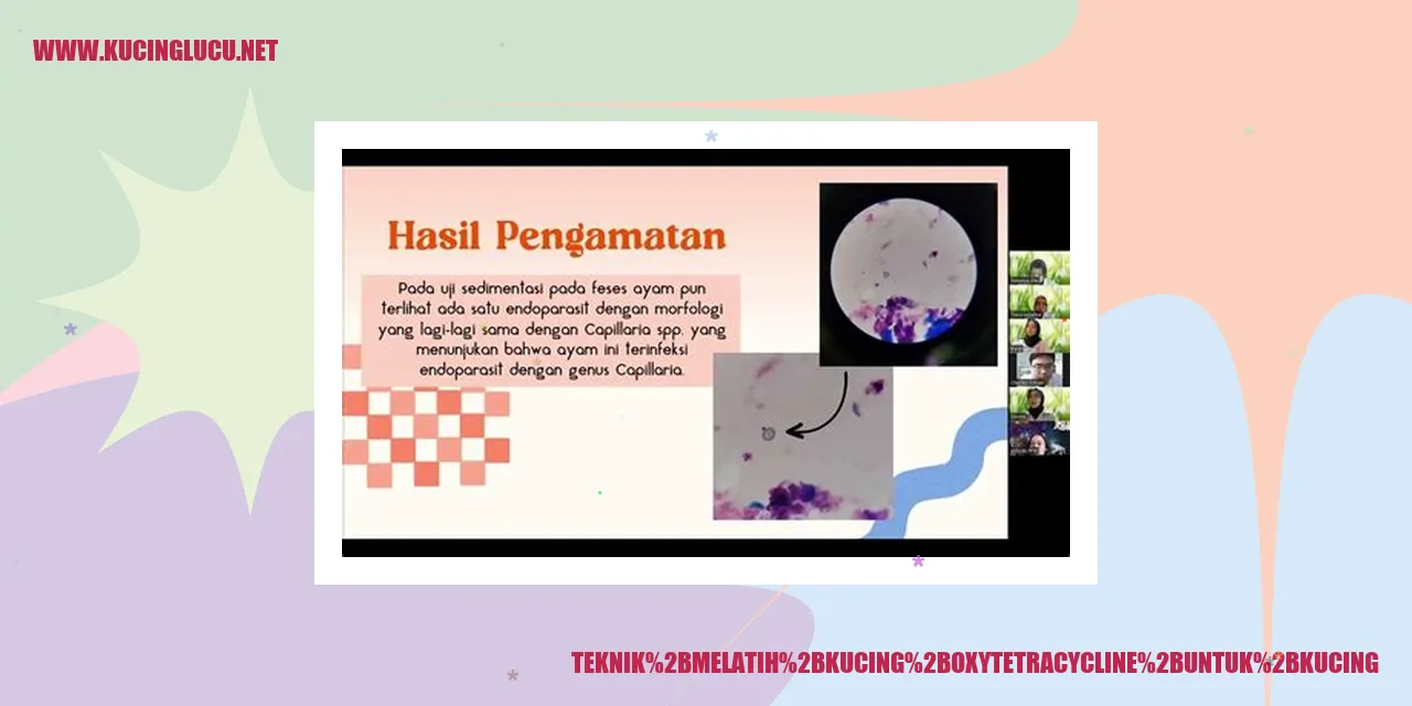 Kucing Oxytetracycline