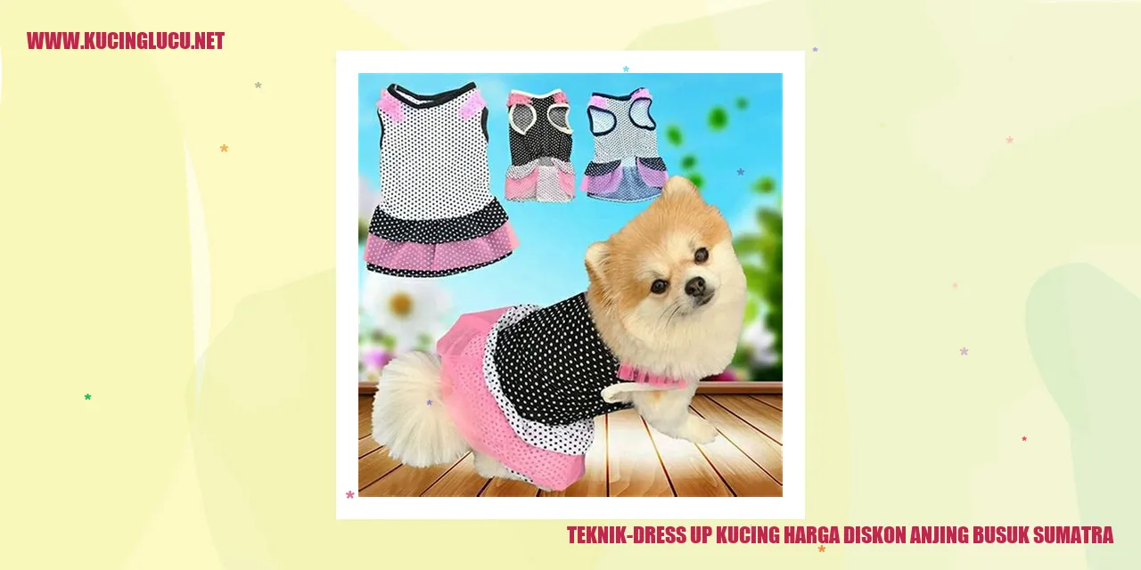 Teknik Dress Up Kucing harga diskon anjing busuk Sumatra