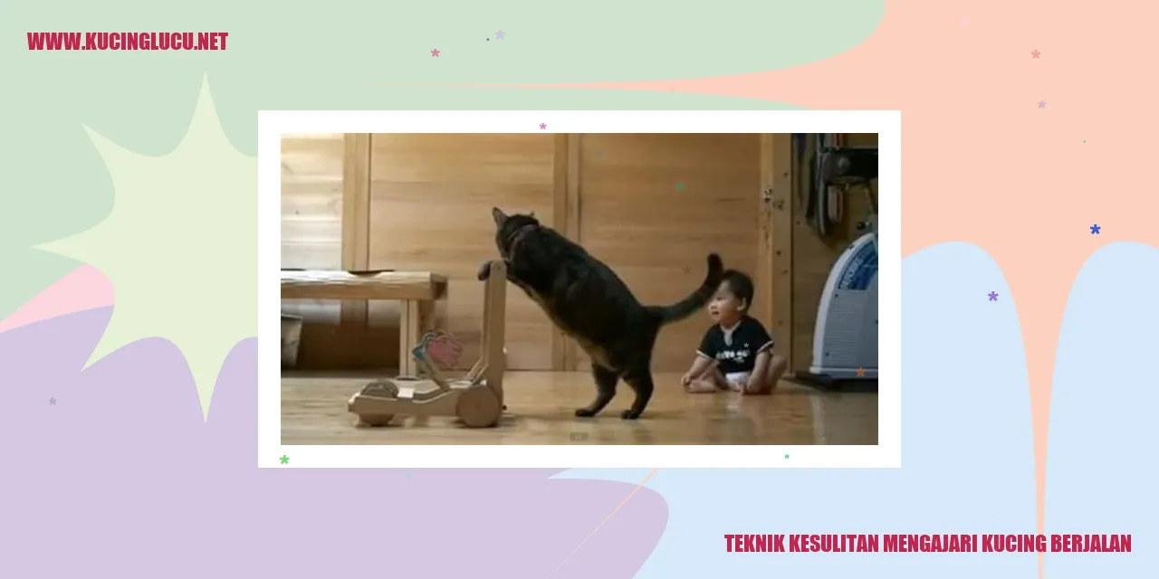 Gambar Kucing
