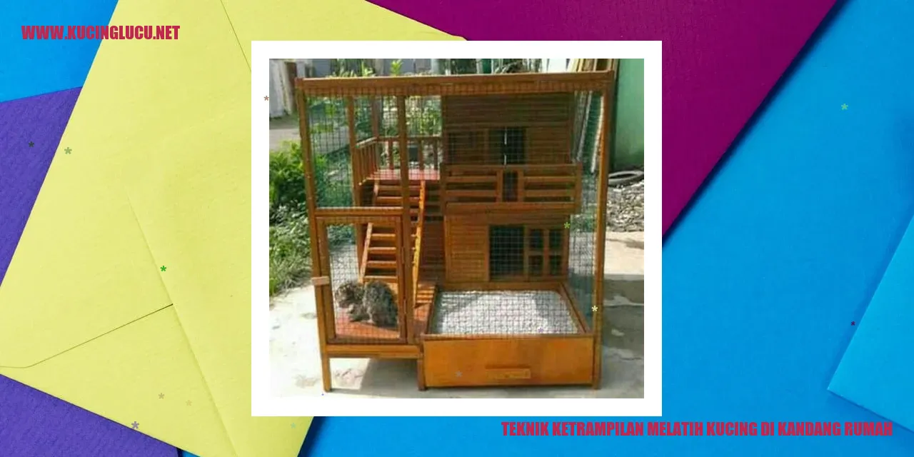 Teknik Membiasakan Kucing Rumah Kandang