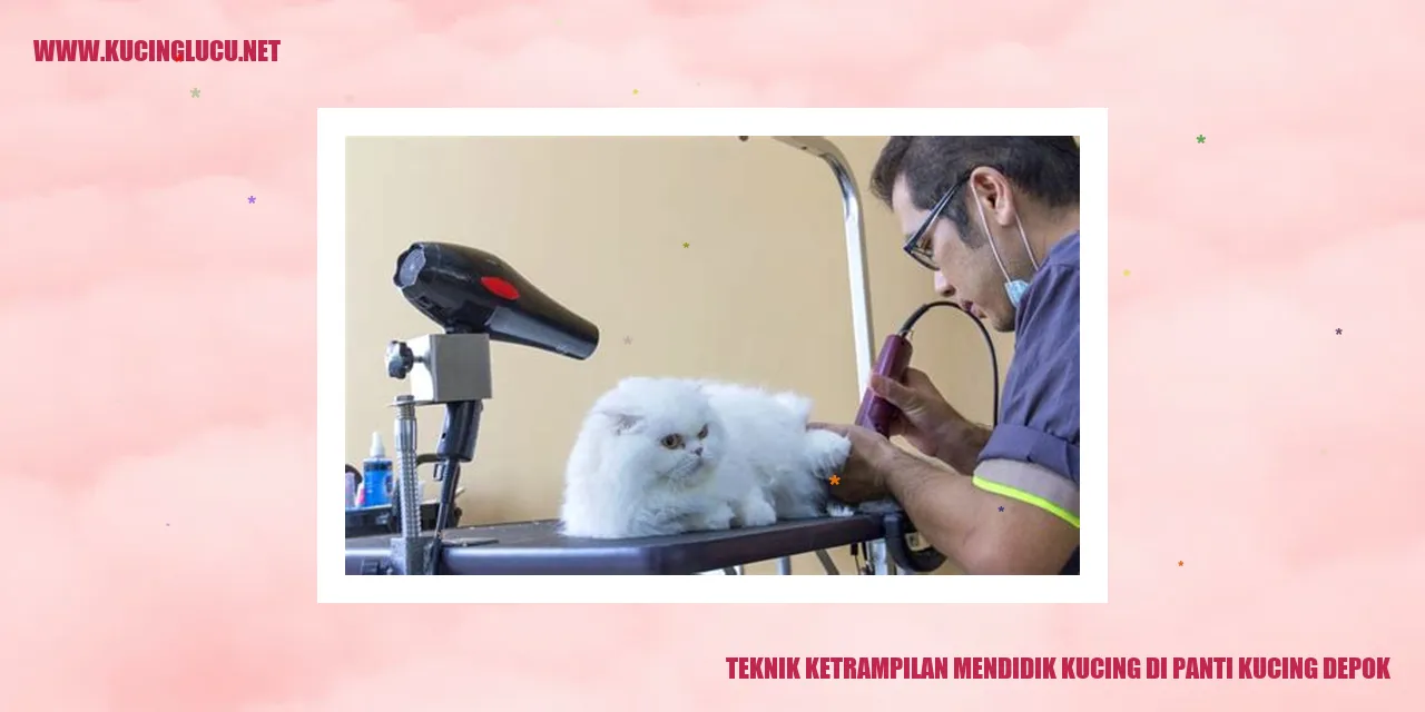 Teknik Ketrampilan Mendidik Kucing di Panti Kucing Depok