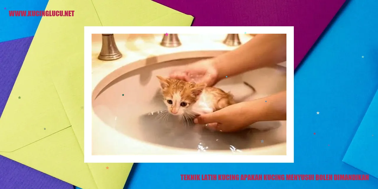 Gambar Kucing yang Sedang Mandi