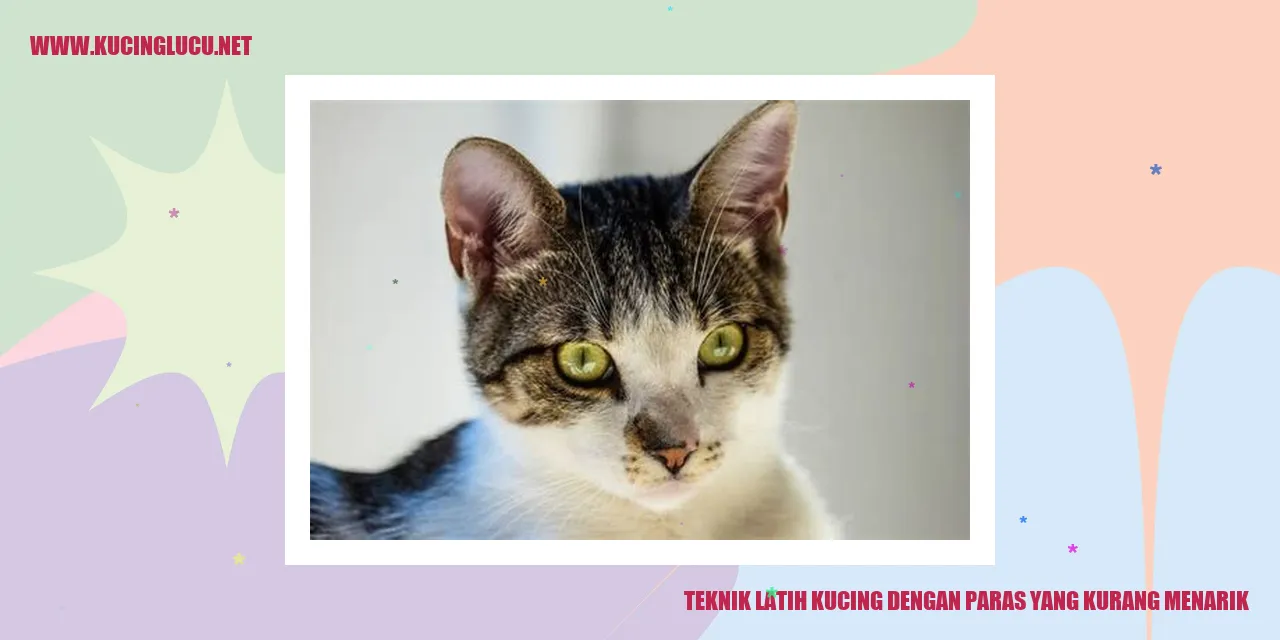 Gambar kucing dengan wajah jelek