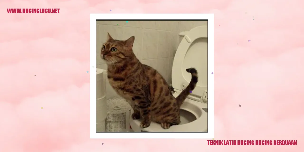 Gambar Kucing Duo