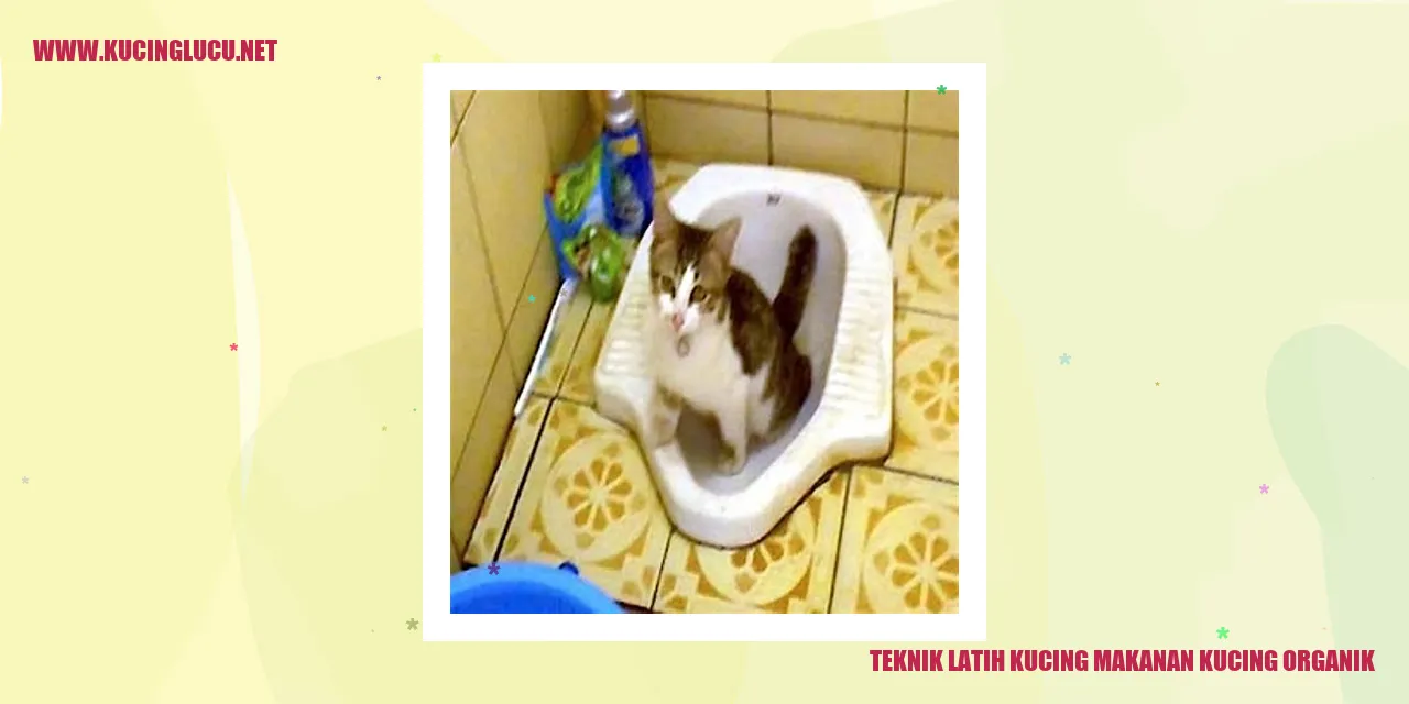 Teknik Latih Kucing Makanan Kucing Organik