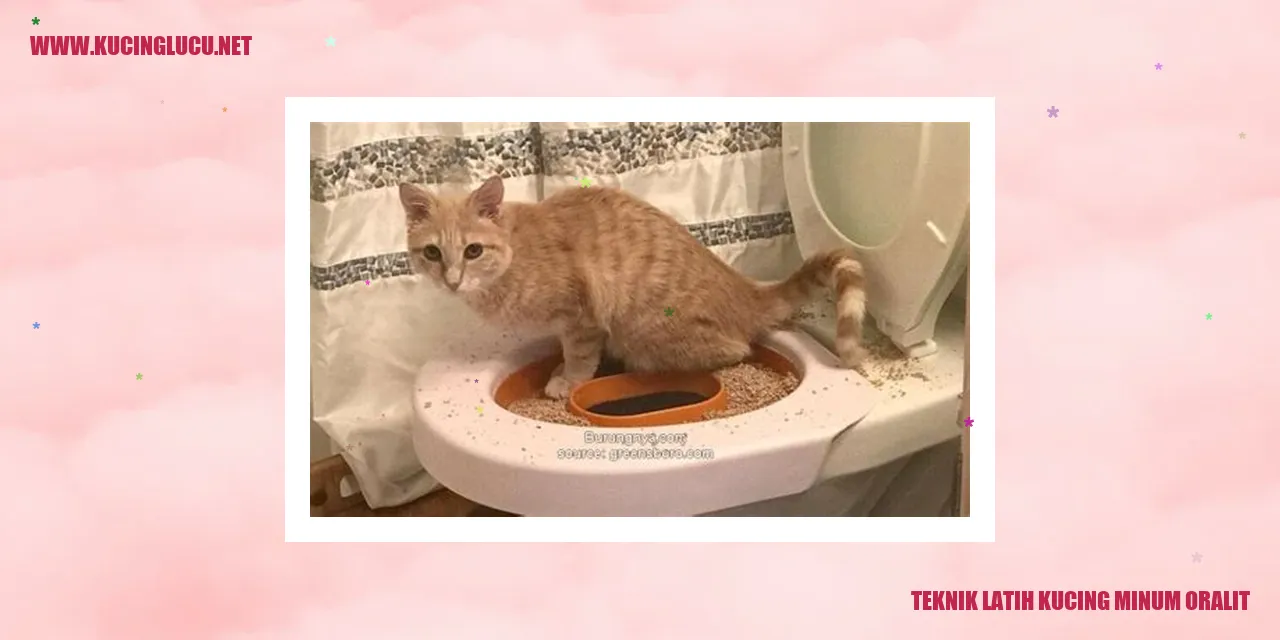 Melatih Kucing