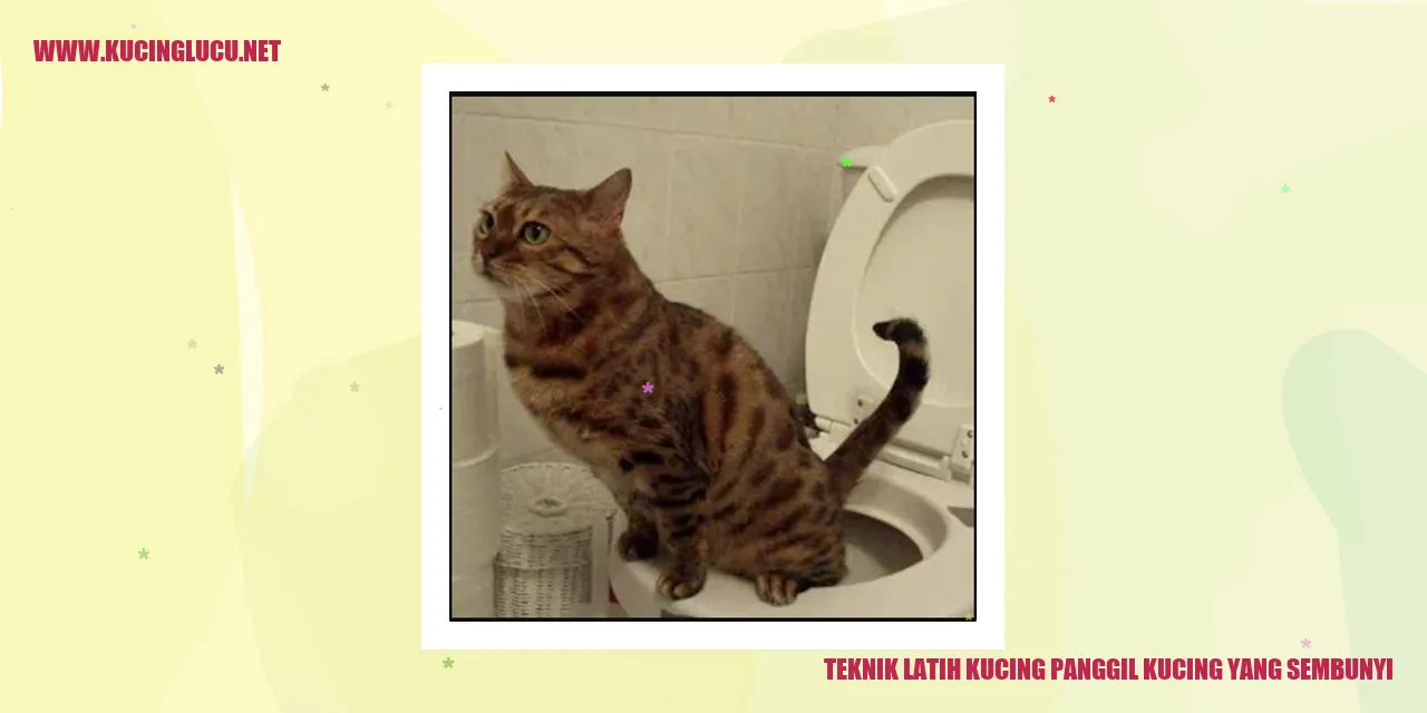 Teknik Latih Kucing panggil kucing yang sembunyi