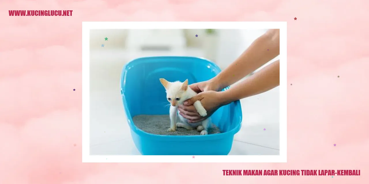 Gambar Kucing Kenyang