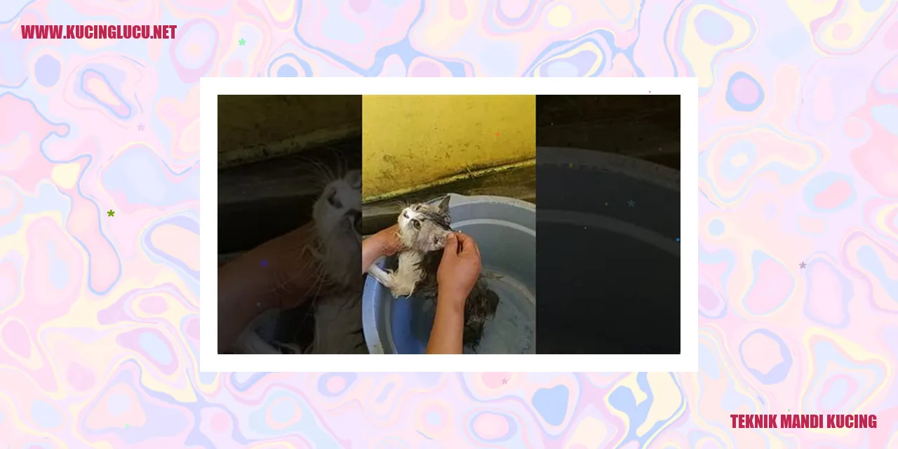 Teknik Melatih Kucing Mandi Sendiri