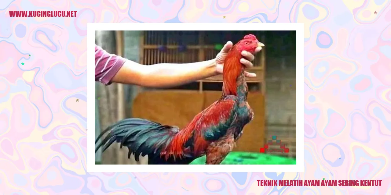 gambar aYam
